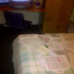 Essay Writing